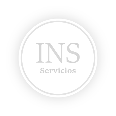 ins servicios